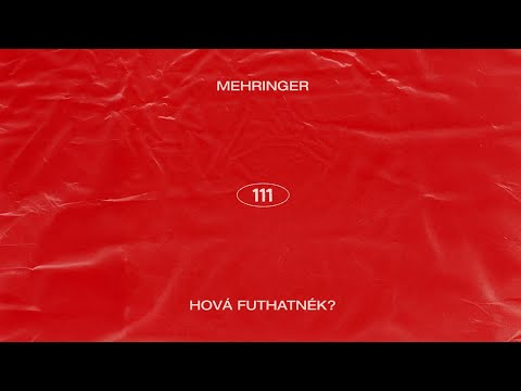 Mehringer - HOVÁ FUTHATNÉK? (Official Visualizer)