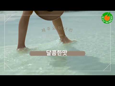 제주와이너리 제주감귤주