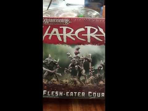 A Look Inside Flesh Eater Court's New Warcry Box