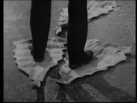 Mosevisionen - Användning av gammal lutfisk