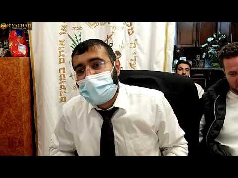 Zera Shimshon - Bereshit (בראשית) 5781