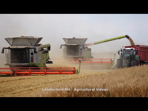 Claas - Fendt - Krampe / Getreideernte - Grain Harvest  2020 pt2