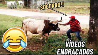 TENTE NÃO RIR IMPOSSÍVEL 😂 - OS MELHORES memes e VÍDEOS ENGRAÇADOS 2026 #memes #humor #126