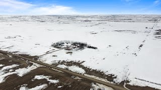 COWIE FARM - 634.78 ACRES WITH YARD SITE - WOLSELEY, SK RM 155