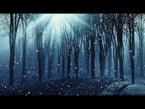 Dark Winter Music - Spooky Woods of Winterdeep