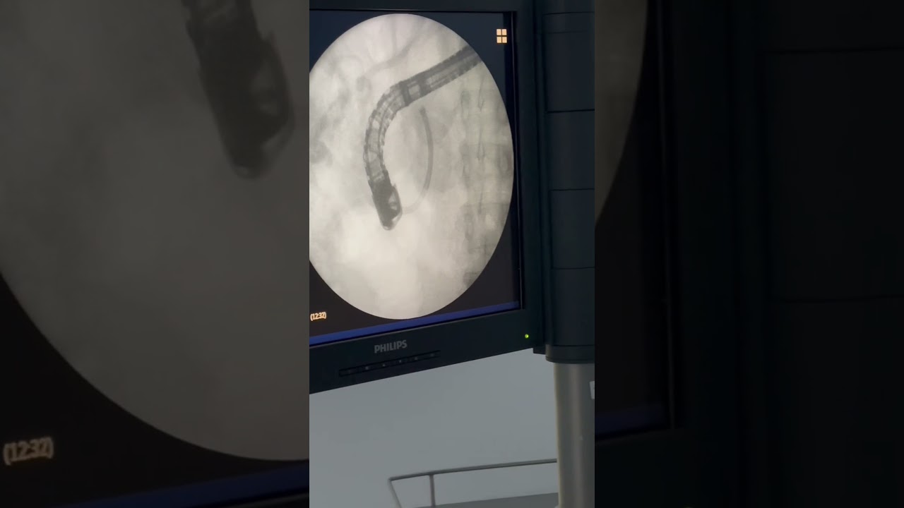 Jorge Pablo Pérez Macías-11