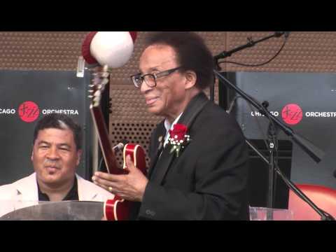 Chico Freeman's Chicago Project featruing Georgre Freeman at the Chicago Jazz Festival