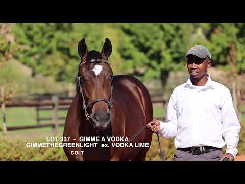 Lot 337 - Gimme A Vodka - Gimmethegreenlight ex Vodka Lime