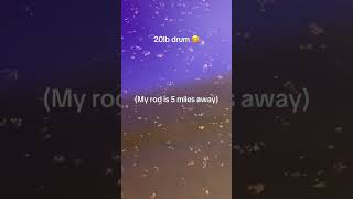 😊 why are you like this? 😊 #fishing #water #summer #drumfish