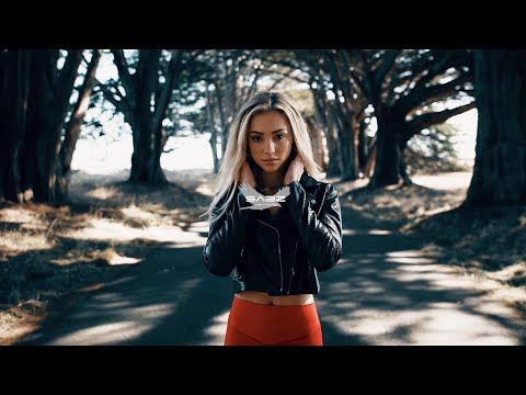 SABZ The Machine - Sorry