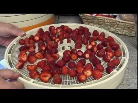 download lagu mp3 mp4 Food Dehydrator Strawberries, download lagu Food Dehydrator Strawberries gratis, unduh video klip Food Dehydrator Strawberries