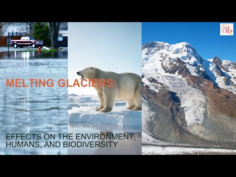 The Impact of Climate Change on Polar Ice Caps