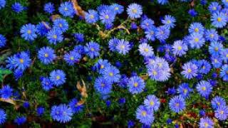 Download lagu Ennai Thottu Vittu oduthu mp3