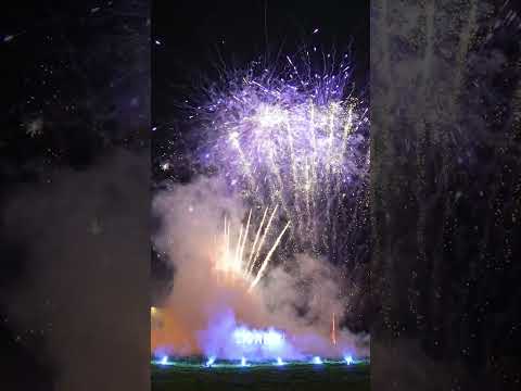 Gender reveal Pieter en Kayleigh #genderreveal #boyorgirl #shorts