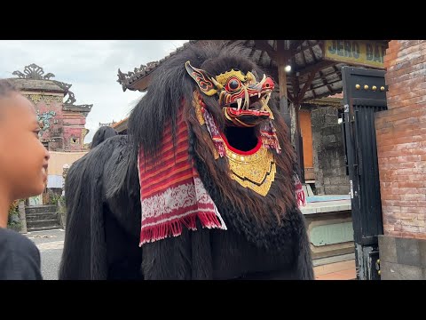Ngelawang Barong Kabinawa Di Kaba Kaba Galungan November 2025