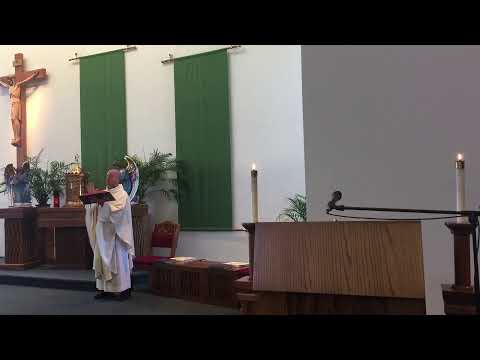 November 01 2020 - 0730 AM Mass Livestream