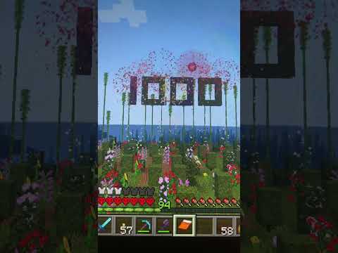 1000 days in hardcore minecraft