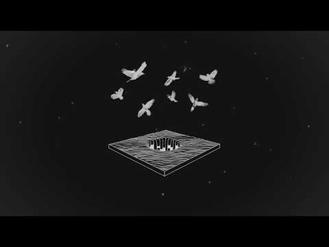 Harvey Causon - Frisson (Official Visual)