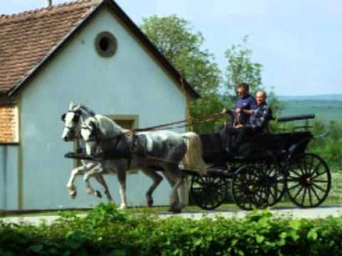 IVAN MANDIĆ - "JAKOVLJEV JURE"