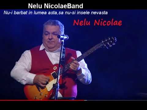 Nelu NicolaeBand - Nu- i barbat in lumea asta,sa nu si insele nevasta