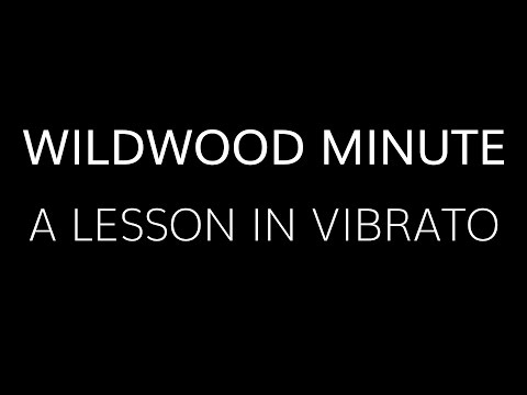 Peter Green / Danny Kirwan Inspired Vibrato  •  Wildwood Guitars