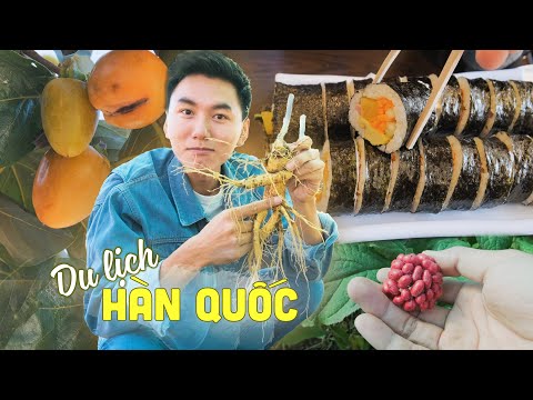 🇰🇷Du lịch ẩm thực Hàn Quốc #:1