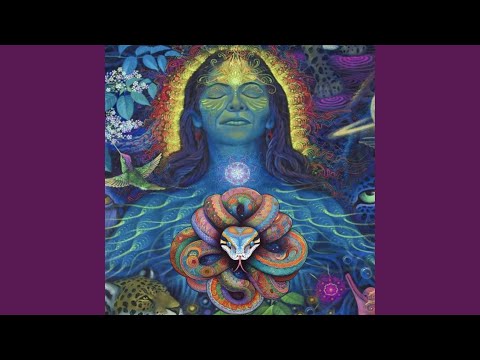 Força da Jibóia Encantada / Medicina Sagrada