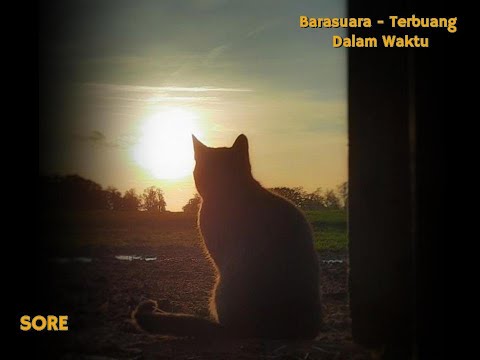 Barasuara - terbuang dalam waktu 1jam 30. cat x sunset