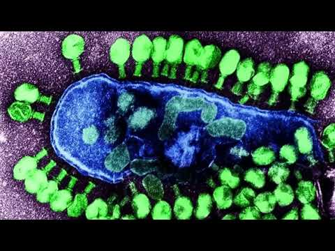 amazing!!! The Deadliest Being on Planet Earth