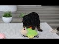 Cockapoo dogs for sale: Harper - Video 1