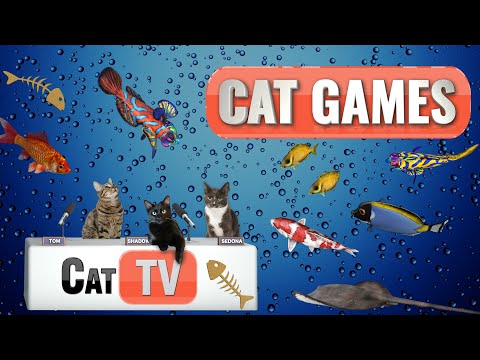 CAT Games | Fish and Bubbles Extravaganza! 🐟💦 | Cat TV Compilation Video For Cats to Watch 😼
