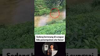 Download lagu Seconds of the appearance of a large snake in the river while swimming #fishing #angling #shorts mp3