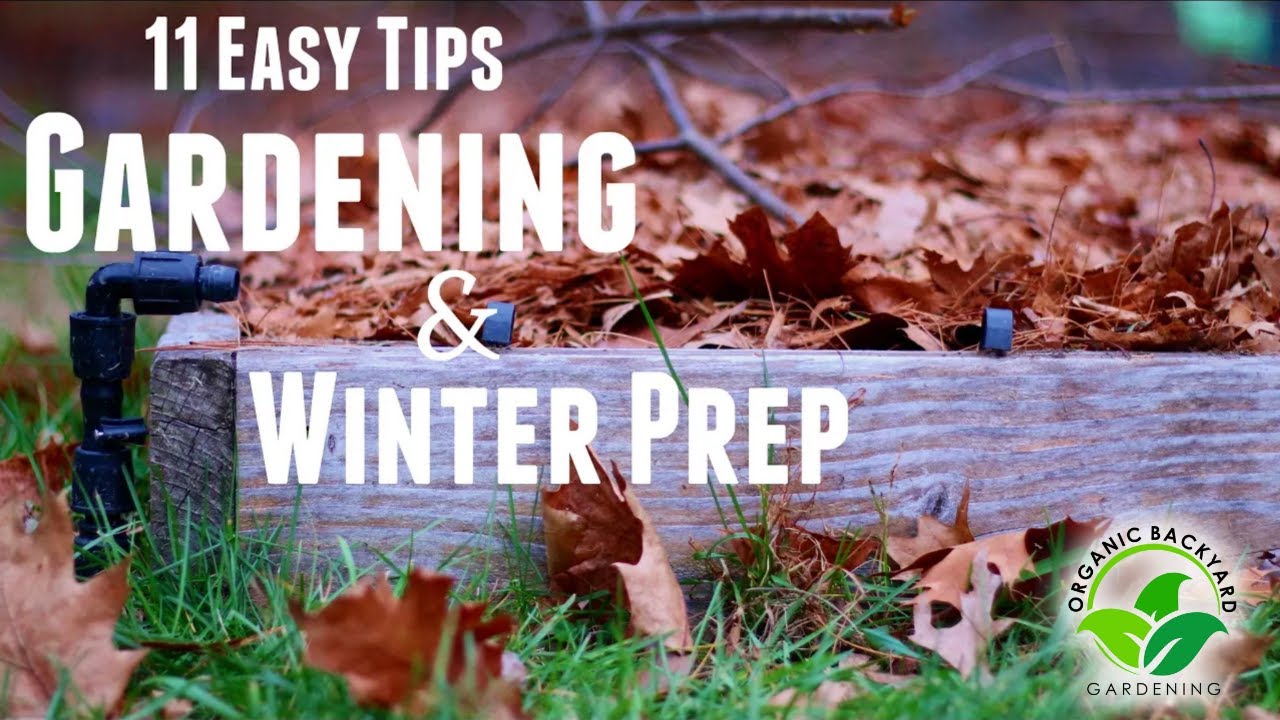 Fall Garden Prep and Planting Guide for NJ