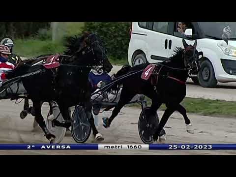 Aversa trotto 25 Febbraio 2023 - 2° Corsa
