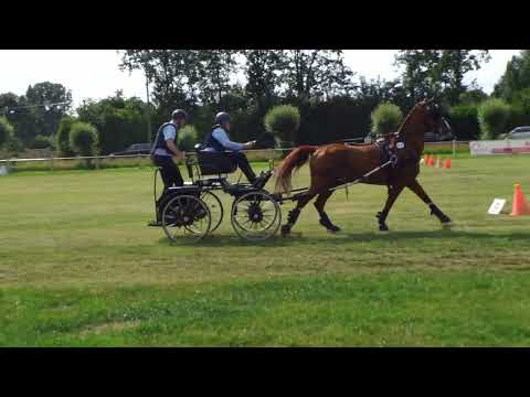 Fahrturnier Dörenthe 12.6.2022