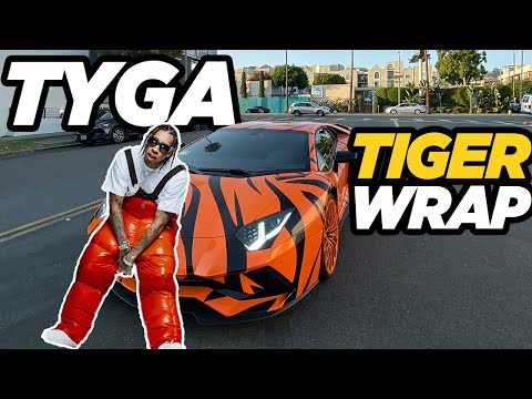 Tyga's TIGER Lamborghini Aventador, RDB Foam Cannon. Video