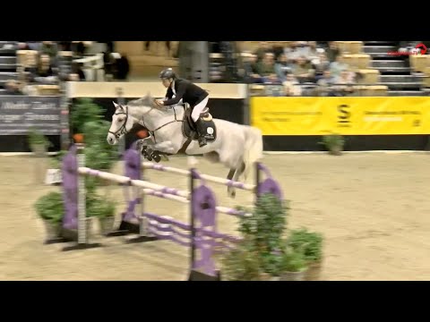 Zuccero HV v. Zirocco Blue und R.G. Bengtsson – Platz 10 im S* mit Stechen in Neumünster