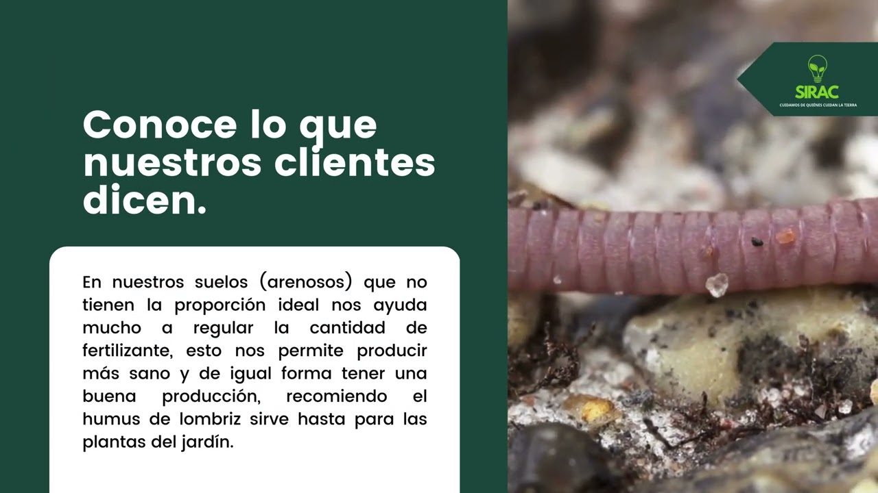 Uso del humus de lombriz - Suelos Arenosos