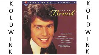 AMIGO PERDIDO - FREDDY BRECK