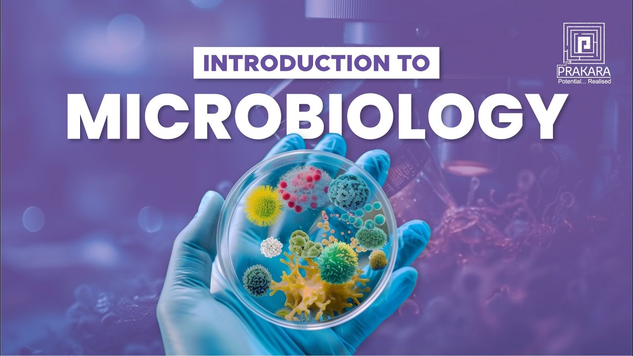 Introduction to Microbiology | Basics for BSc Nursing Students | Infection Control Made Easy!