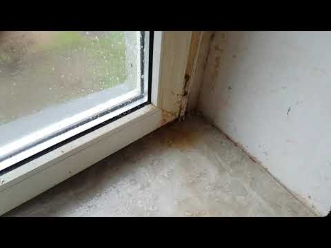 Grundreinigung von extremen Verunreinigungen und Kunststoff Fenster