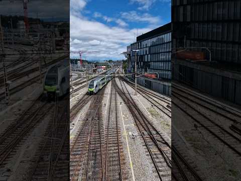 BLS Bern #train #trainspotting #trains #zug