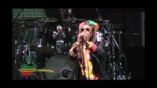 Steel Pulse - Worth His Weight In Gold by puertoreggae.com