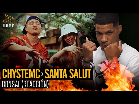 CHYSTEMC, SANTA SALUT - BONSÁI Reaccion