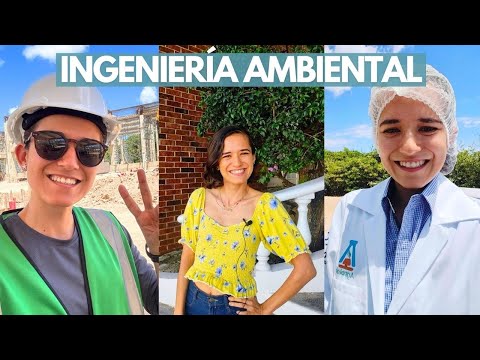 My experience after 5 years as an Environmental Engineer 🌱