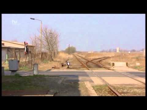 Die Heidekrautbahn (1 von 2)