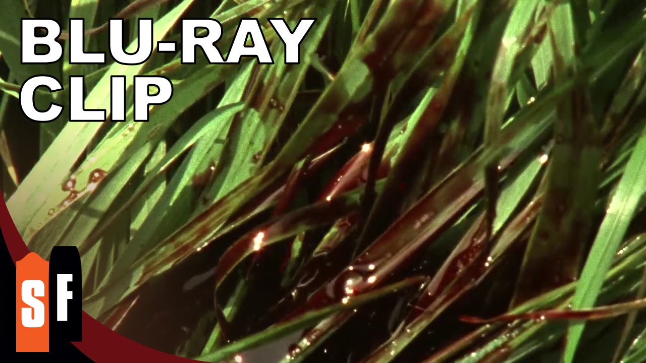 Larry Fessenden Collection (2/5) No Telling - Horror Movie