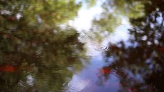 Oneohtrix Point Never - Ouroboros