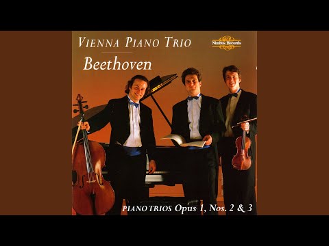 Piano Trio in G Major, Op. 1 No. 2: I. Adagio - Allegro vivace