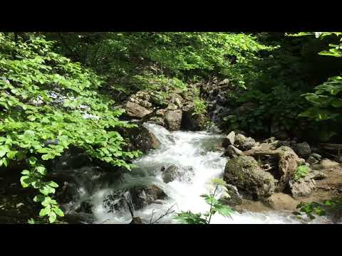 Cheile Cheiței- Cheia, Jud. Prahova